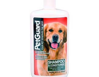 Shampoo & Conditioner