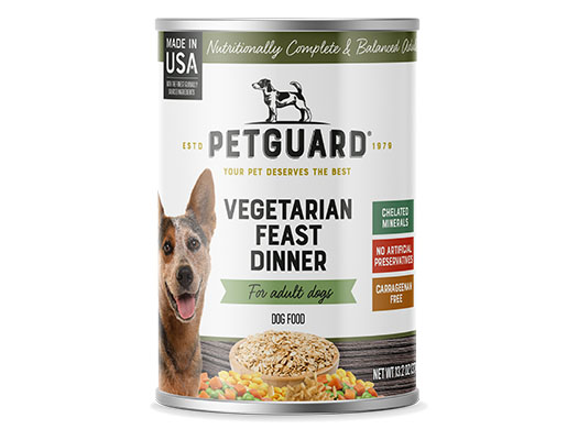 Vegetarian Feast Dinner