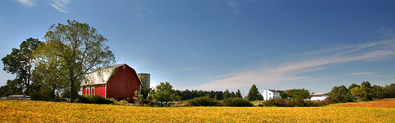 Organic Farmland
