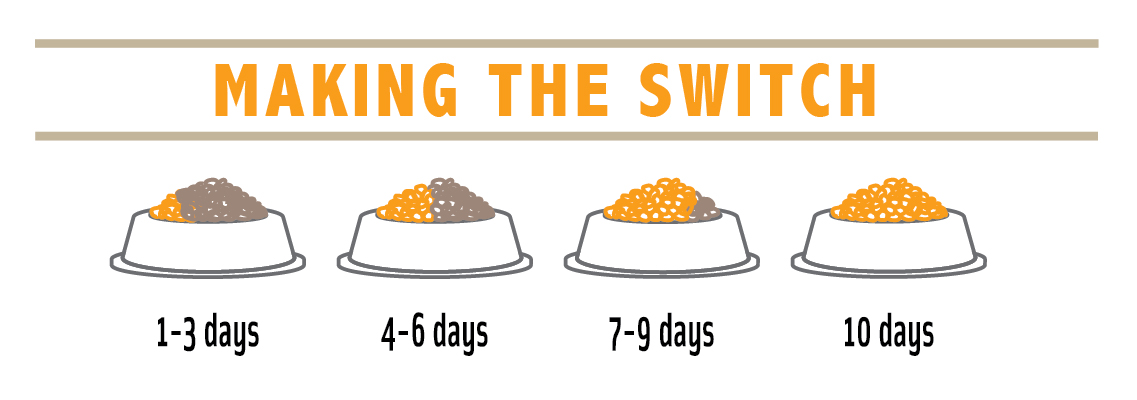 Infographic of Transitioning Pet Food